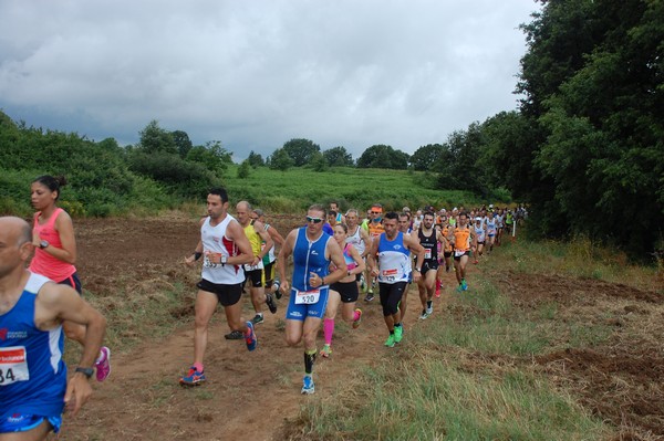 Cross Trofeo Città di Nettuno (TOP) (02/06/2016) 00044