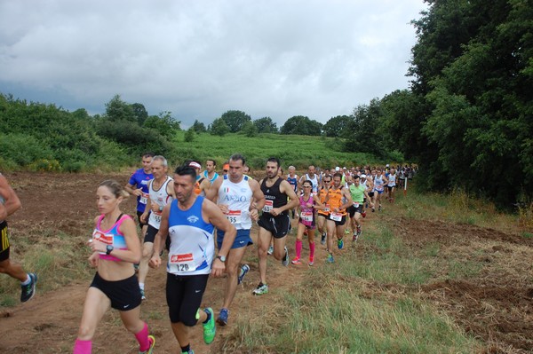 Cross Trofeo Città di Nettuno (TOP) (02/06/2016) 00046