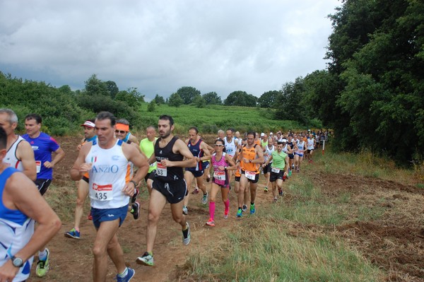 Cross Trofeo Città di Nettuno (TOP) (02/06/2016) 00047
