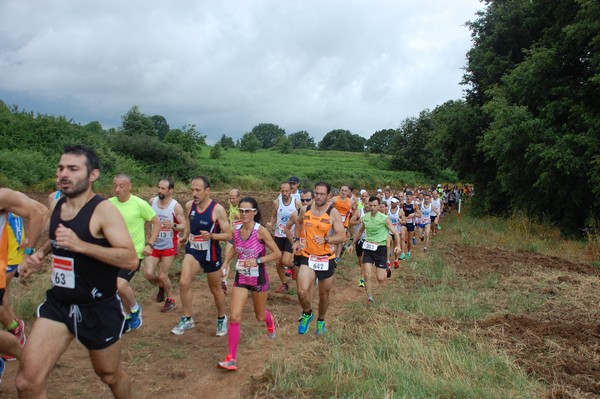 Cross Trofeo Città di Nettuno (TOP) (02/06/2016) 00048