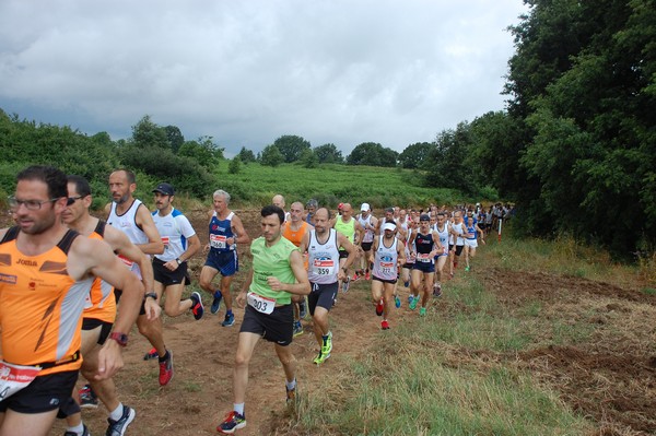 Cross Trofeo Città di Nettuno (TOP) (02/06/2016) 00050