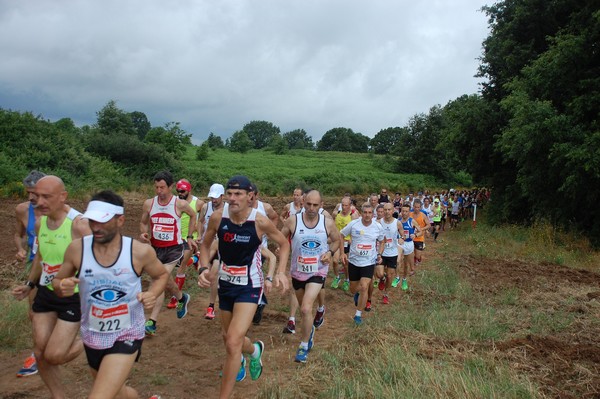 Cross Trofeo Città di Nettuno (TOP) (02/06/2016) 00053