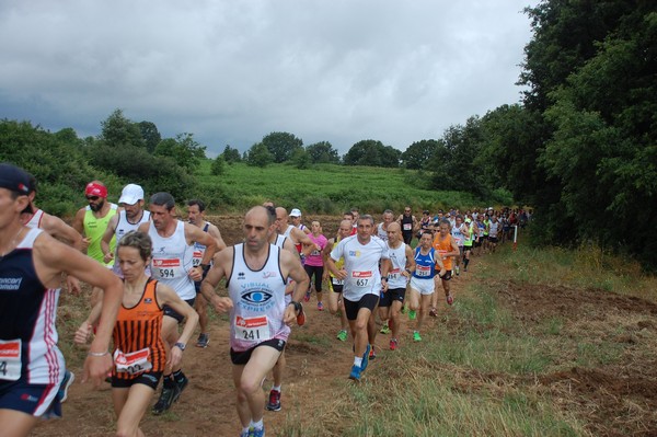 Cross Trofeo Città di Nettuno (TOP) (02/06/2016) 00054