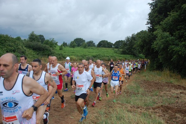 Cross Trofeo Città di Nettuno (TOP) (02/06/2016) 00055