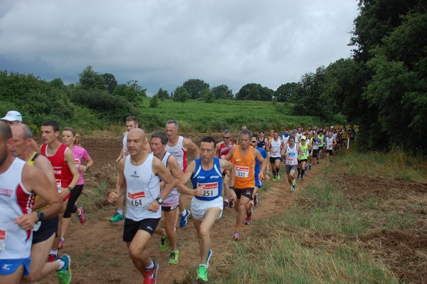 Cross Trofeo Città di Nettuno (TOP) (02/06/2016) 00056