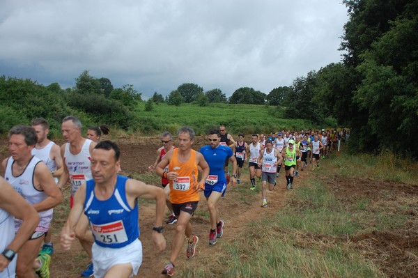 Cross Trofeo Città di Nettuno (TOP) (02/06/2016) 00057