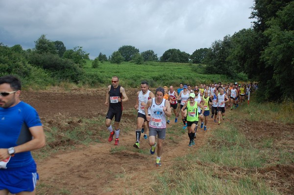 Cross Trofeo Città di Nettuno (TOP) (02/06/2016) 00059