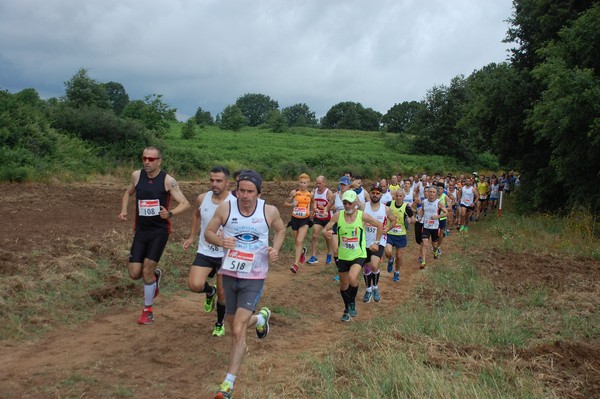 Cross Trofeo Città di Nettuno (TOP) (02/06/2016) 00060