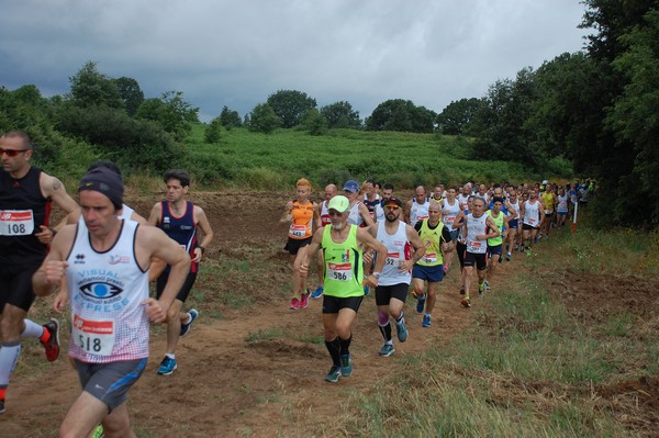 Cross Trofeo Città di Nettuno (TOP) (02/06/2016) 00061
