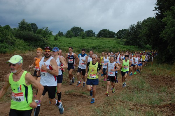 Cross Trofeo Città di Nettuno (TOP) (02/06/2016) 00063
