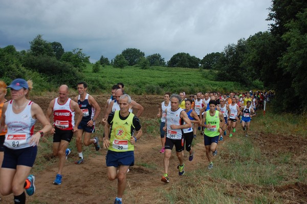 Cross Trofeo Città di Nettuno (TOP) (02/06/2016) 00064