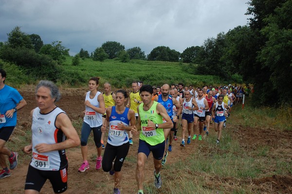 Cross Trofeo Città di Nettuno (TOP) (02/06/2016) 00066