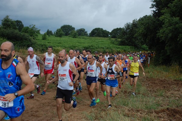 Cross Trofeo Città di Nettuno (TOP) (02/06/2016) 00068