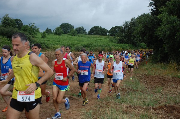 Cross Trofeo Città di Nettuno (TOP) (02/06/2016) 00072