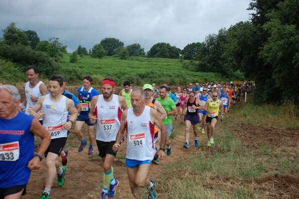 Cross Trofeo Città di Nettuno (TOP) (02/06/2016) 00074