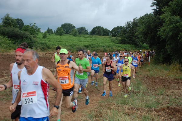 Cross Trofeo Città di Nettuno (TOP) (02/06/2016) 00075