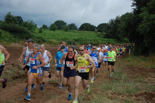 Cross Trofeo Città di Nettuno (TOP) (02/06/2016) 00077