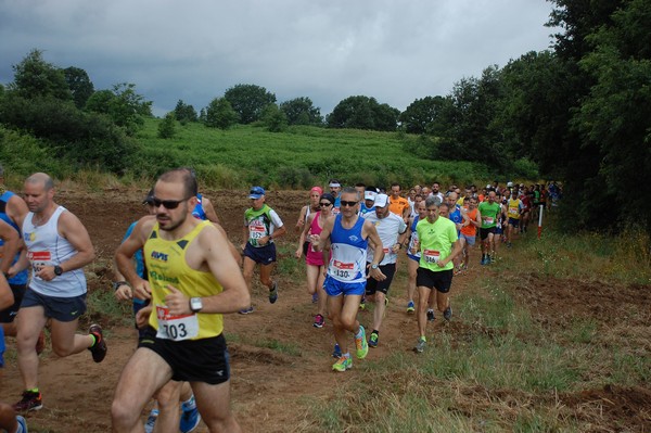Cross Trofeo Città di Nettuno (TOP) (02/06/2016) 00078