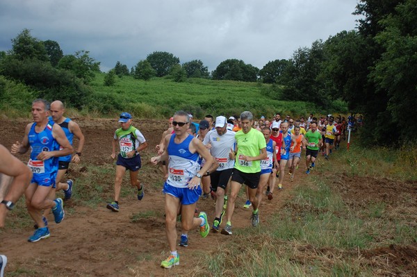 Cross Trofeo Città di Nettuno (TOP) (02/06/2016) 00079
