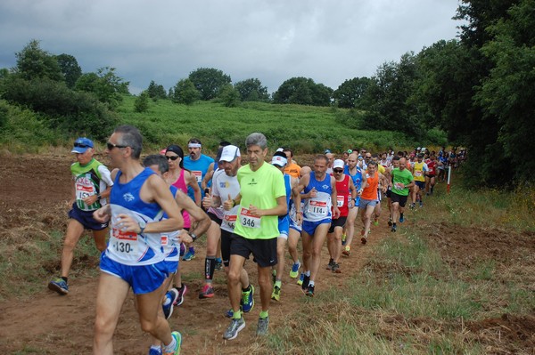 Cross Trofeo Città di Nettuno (TOP) (02/06/2016) 00080