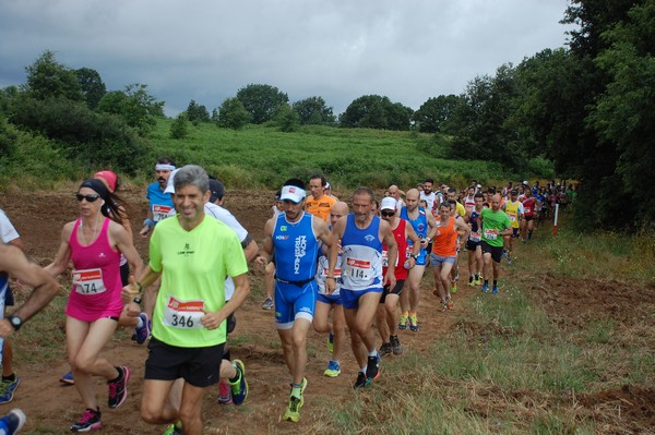 Cross Trofeo Città di Nettuno (TOP) (02/06/2016) 00081
