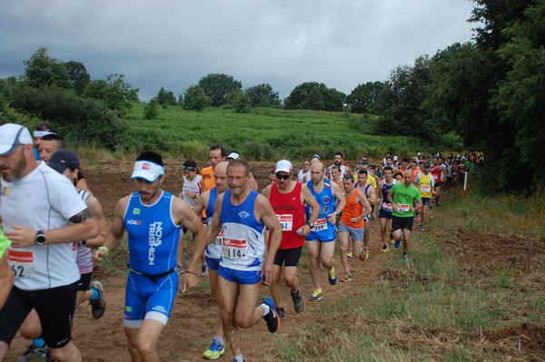 Cross Trofeo Città di Nettuno (TOP) (02/06/2016) 00082