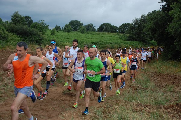 Cross Trofeo Città di Nettuno (TOP) (02/06/2016) 00086