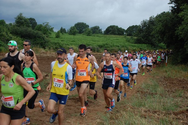 Cross Trofeo Città di Nettuno (TOP) (02/06/2016) 00090