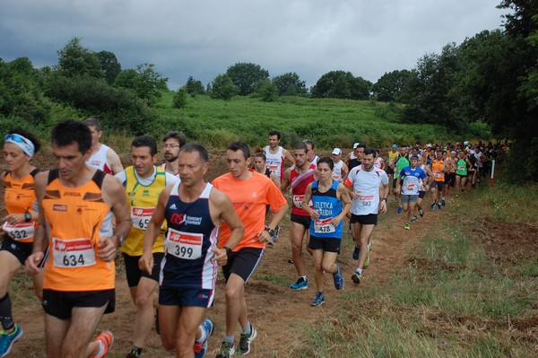 Cross Trofeo Città di Nettuno (TOP) (02/06/2016) 00091