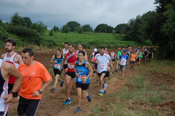 Cross Trofeo Città di Nettuno (TOP) (02/06/2016) 00092