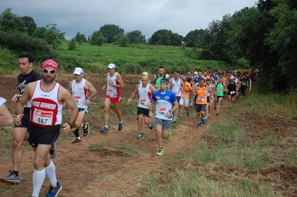 Cross Trofeo Città di Nettuno (TOP) (02/06/2016) 00095