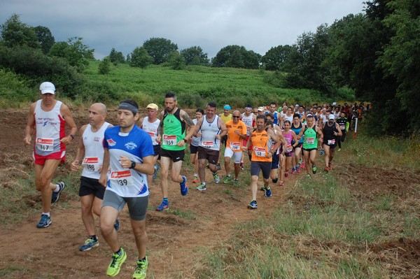 Cross Trofeo Città di Nettuno (TOP) (02/06/2016) 00097