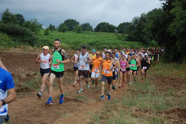 Cross Trofeo Città di Nettuno (TOP) (02/06/2016) 00098