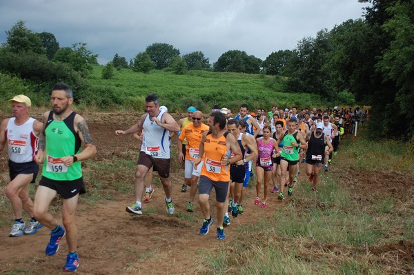 Cross Trofeo Città di Nettuno (TOP) (02/06/2016) 00099