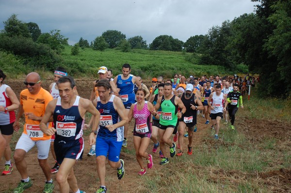 Cross Trofeo Città di Nettuno (TOP) (02/06/2016) 00101