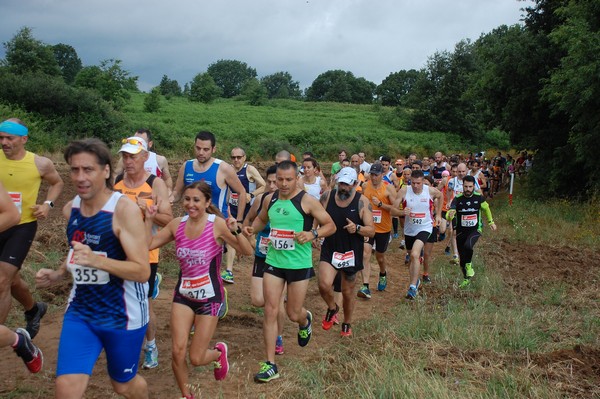 Cross Trofeo Città di Nettuno (TOP) (02/06/2016) 00102