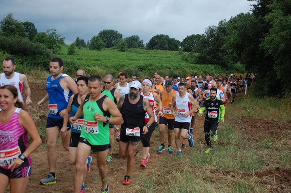 Cross Trofeo Città di Nettuno (TOP) (02/06/2016) 00103