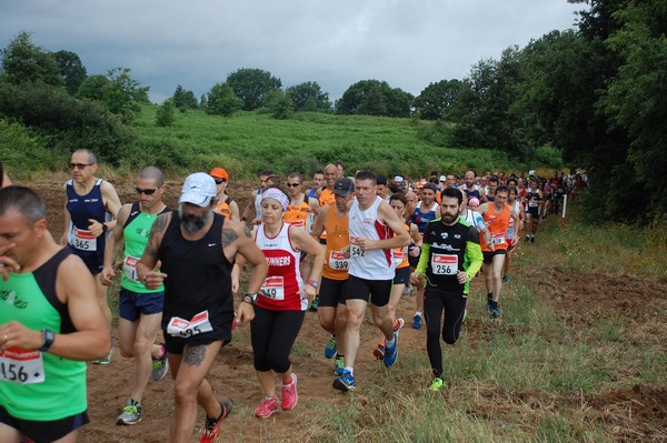 Cross Trofeo Città di Nettuno (TOP) (02/06/2016) 00104