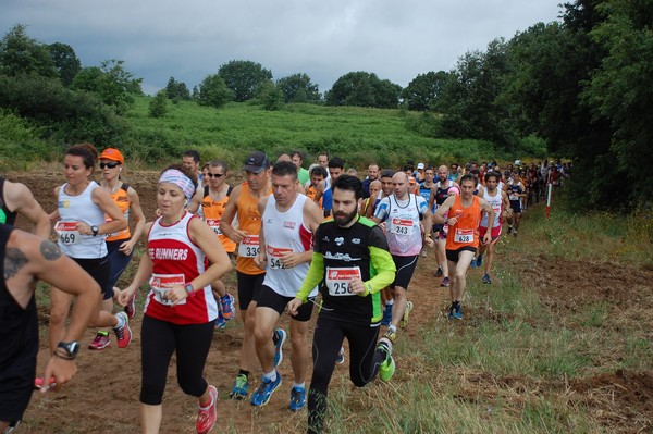 Cross Trofeo Città di Nettuno (TOP) (02/06/2016) 00105