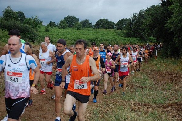 Cross Trofeo Città di Nettuno (TOP) (02/06/2016) 00108