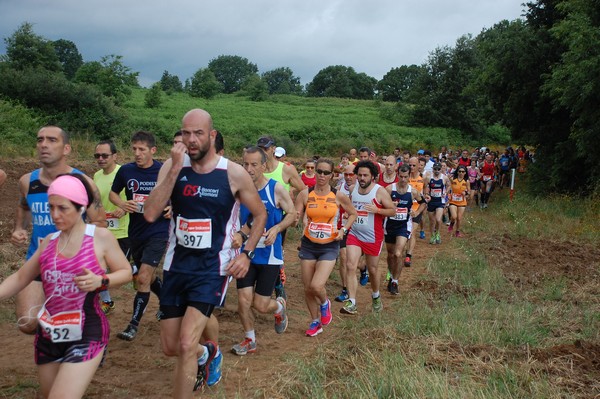 Cross Trofeo Città di Nettuno (TOP) (02/06/2016) 00112