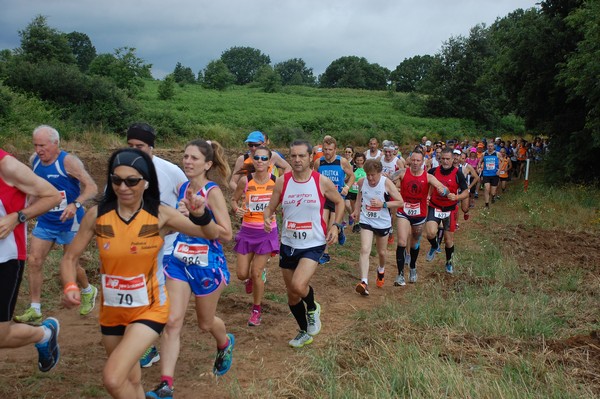 Cross Trofeo Città di Nettuno (TOP) (02/06/2016) 00121