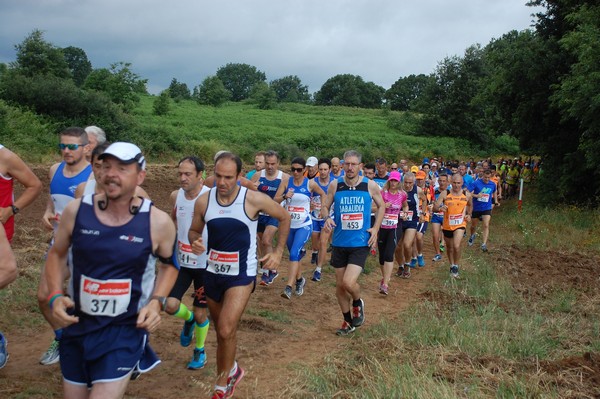 Cross Trofeo Città di Nettuno (TOP) (02/06/2016) 00129