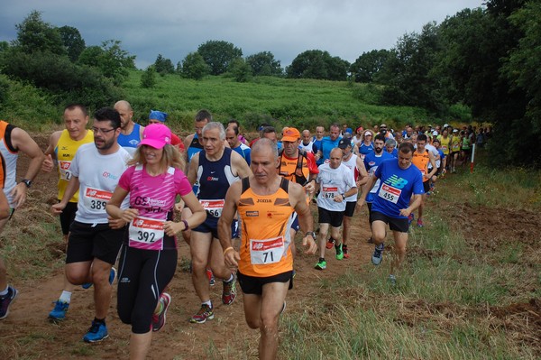 Cross Trofeo Città di Nettuno (TOP) (02/06/2016) 00133