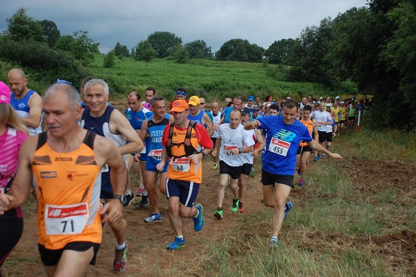 Cross Trofeo Città di Nettuno (TOP) (02/06/2016) 00134