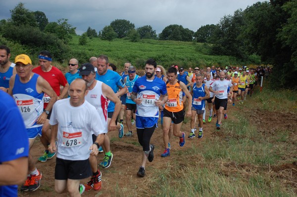 Cross Trofeo Città di Nettuno (TOP) (02/06/2016) 00137