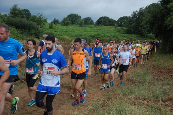 Cross Trofeo Città di Nettuno (TOP) (02/06/2016) 00138