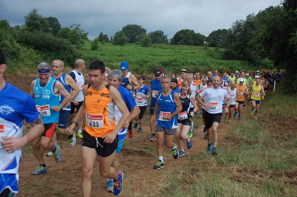 Cross Trofeo Città di Nettuno (TOP) (02/06/2016) 00139