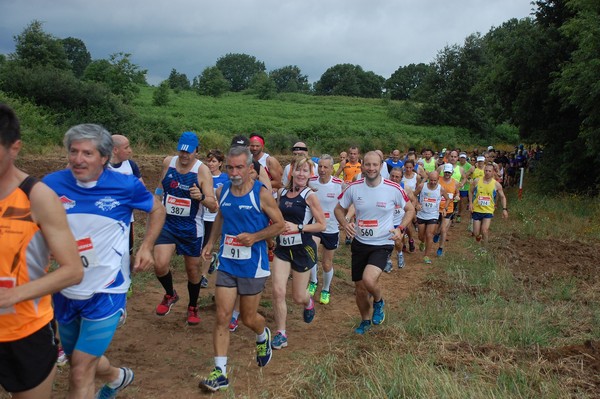Cross Trofeo Città di Nettuno (TOP) (02/06/2016) 00140