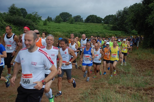 Cross Trofeo Città di Nettuno (TOP) (02/06/2016) 00143